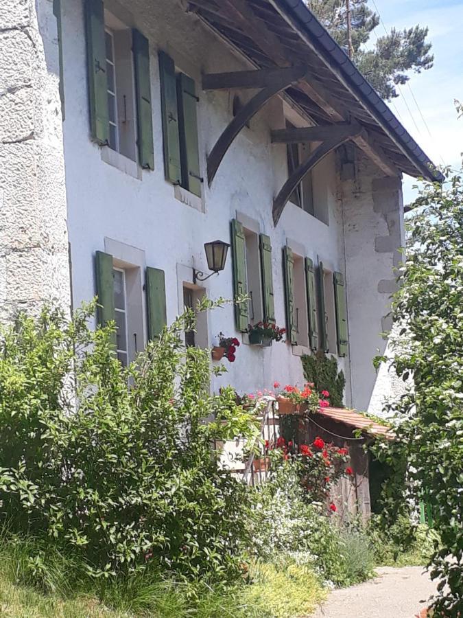 Chez Cathy Bed & Breakfast Arzier Dış mekan fotoğraf