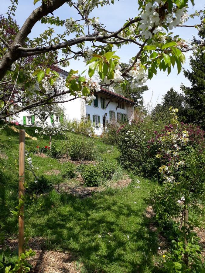Chez Cathy Bed & Breakfast Arzier Dış mekan fotoğraf