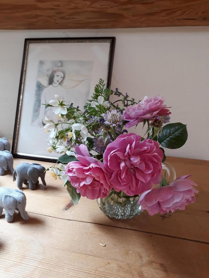 Chez Cathy Bed & Breakfast Arzier Dış mekan fotoğraf